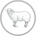 agnello